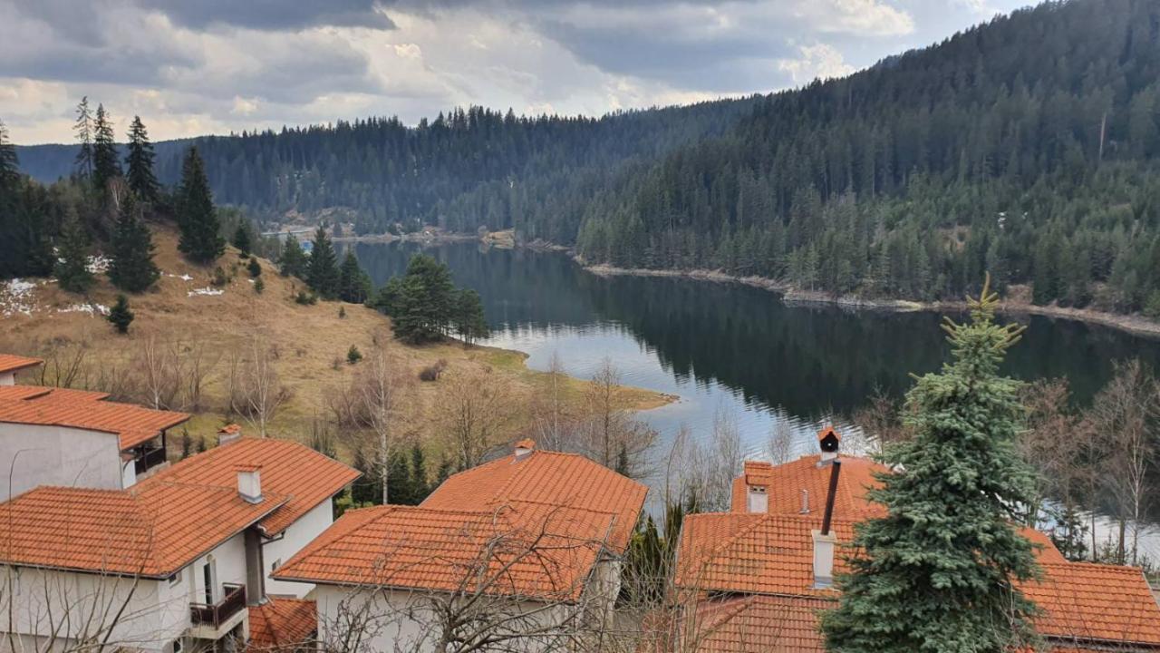 Вила Родопи Dospat Exterior photo